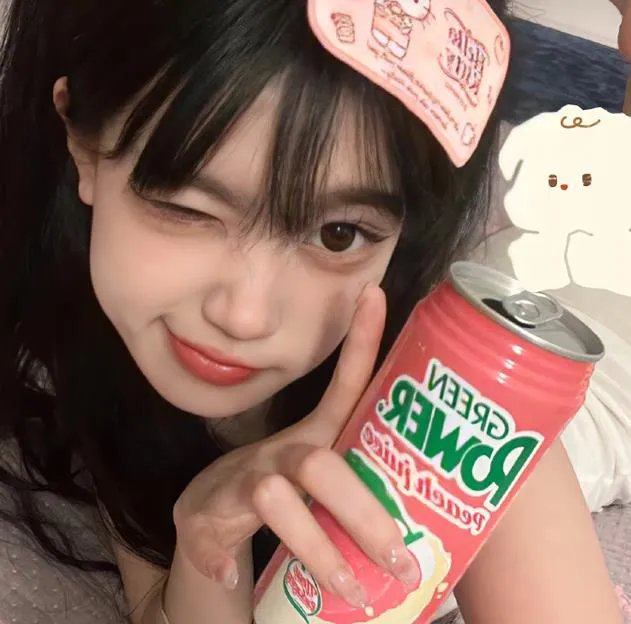 哈吉布基的森林冒险